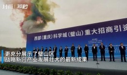 大新最新爆料,最新爆料背后的惊人真相