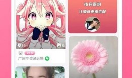 乐凡爆料视频大全下载最新,最新热点事件深度解析