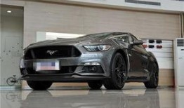 山西野马爆料最新消息,揭秘神秘项目背后的真相